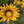 Avatar for Tanni123